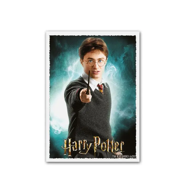 WizardingWorld - Harry Potter